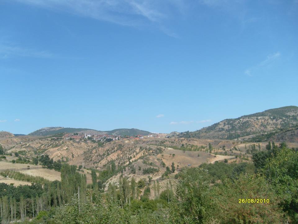 Turgay Asmalıkaya 26 Agustos 2010 8